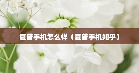 夏普手机怎么样（夏普手机知乎）