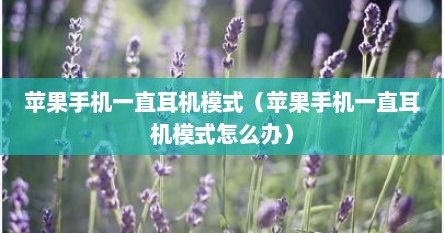 苹果手机一直耳机模式（苹果手机一直耳机模式怎么办）