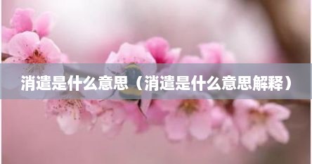 消遣是什么意思（消遣是什么意思解释）