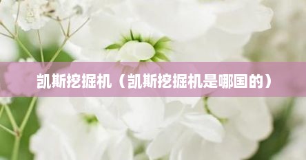 凯斯挖掘机（凯斯挖掘机是哪国的）