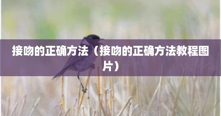 接吻的正确方法（接吻的正确方法教程图片）