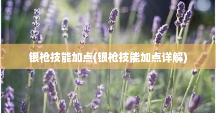 银枪技能加点(银枪技能加点详解)