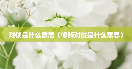 对仗是什么意思（修辞对仗是什么意思）