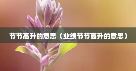 节节高升的意思（业绩节节高升的意思）