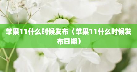 苹果11什么时候发布（苹果11什么时候发布日期）