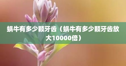 蜗牛有多少颗牙齿（蜗牛有多少颗牙齿放大10000倍）