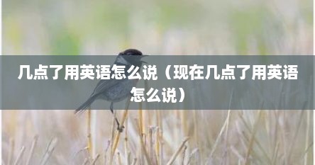 几点了用英语怎么说（现在几点了用英语怎么说）