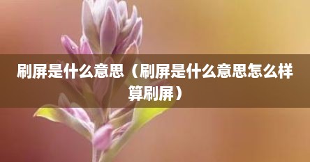 刷屏是什么意思（刷屏是什么意思怎么样算刷屏）