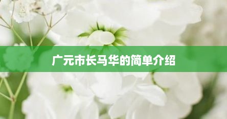 广元市长马华的简单介绍