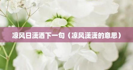 凉风日潇洒下一句（凉风潇潇的意思）