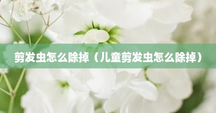 剪发虫怎么除掉（儿童剪发虫怎么除掉）