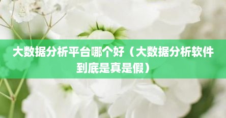 大数据分析平台哪个好（大数据分析软件到底是真是假）