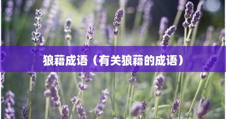 狼藉成语（有关狼藉的成语）