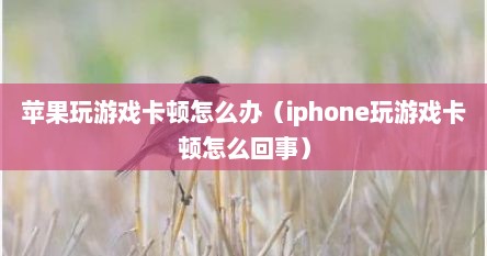 苹果玩游戏卡顿怎么办（iphone玩游戏卡顿怎么回事）