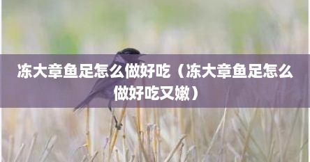 冻大章鱼足怎么做好吃（冻大章鱼足怎么做好吃又嫩）