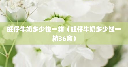 旺仔牛奶多少钱一箱（旺仔牛奶多少钱一箱36盒）