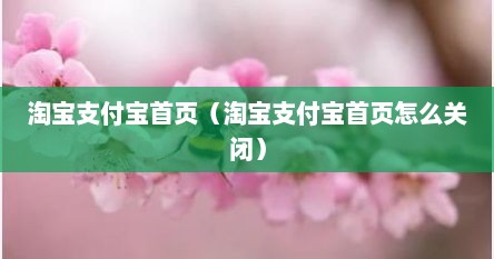 淘宝支付宝首页（淘宝支付宝首页怎么关闭）