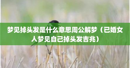 梦见掉头发是什么意思周公解梦（已婚女人梦见自己掉头发吉兆）