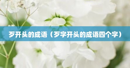 歹开头的成语（歹字开头的成语四个字）