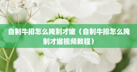 自制牛排怎么腌制才嫩（自制牛排怎么腌制才嫩视频教程）