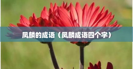 凤麟的成语（凤麟成语四个字）