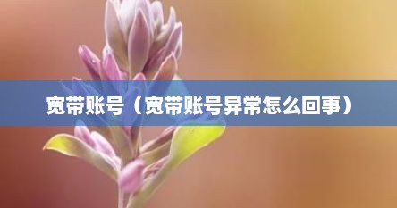 宽带账号（宽带账号异常怎么回事）