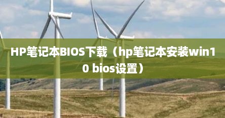 HP笔记本BIOS下载（hp笔记本安装win10 bios设置）