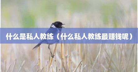 什么是私人教练（什么私人教练最赚钱呢）