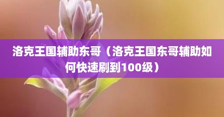 洛克王国辅助东哥（洛克王国东哥辅助如何快速刷到100级）