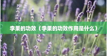 李果的功效（李果的功效作用是什么）