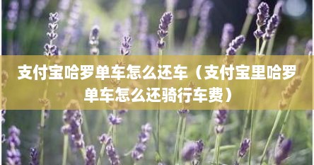 支付宝哈罗单车怎么还车（支付宝里哈罗单车怎么还骑行车费）