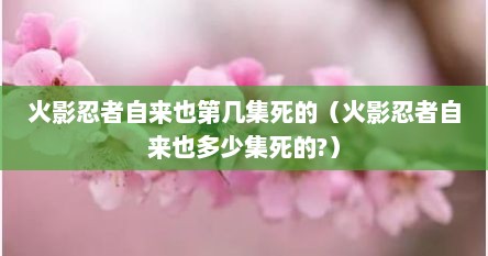 火影忍者自来也第几集死的（火影忍者自来也多少集死的?）