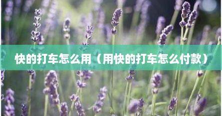 快的打车怎么用（用快的打车怎么付款）