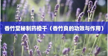 香竹堂秘制药橙干（香竹良的功效与作用）