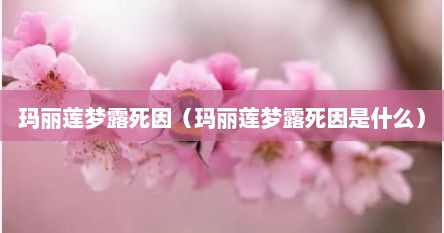 玛丽莲梦露死因（玛丽莲梦露死因是什么）