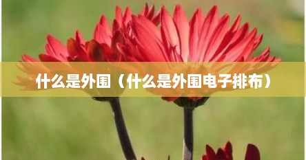 什么是外围（什么是外围电子排布）