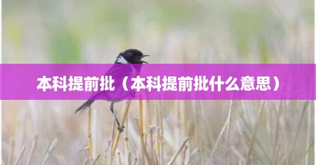 本科提前批（本科提前批什么意思）