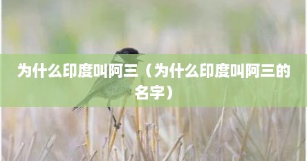 为什么印度叫阿三（为什么印度叫阿三的名字）