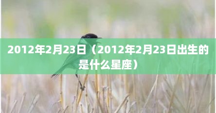 2012年2月23日（2012年2月23日出生的是什么星座）