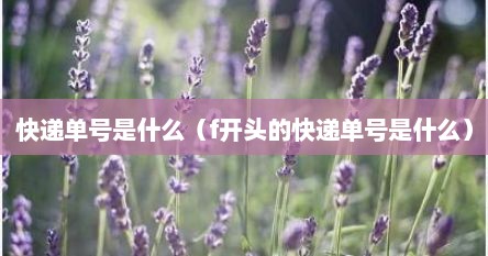 快递单号是什么（f开头的快递单号是什么）