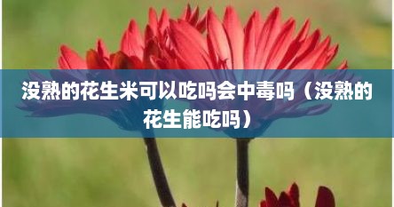 没熟的花生米可以吃吗会中毒吗（没熟的花生能吃吗）