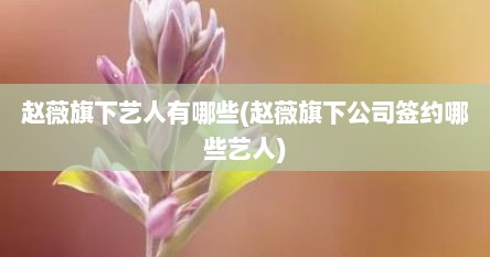 赵薇旗下艺人有哪些(赵薇旗下公司签约哪些艺人)