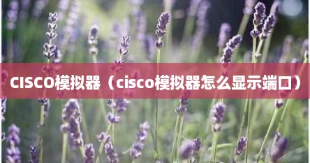 CISCO模拟器（cisco模拟器怎么显示端口）