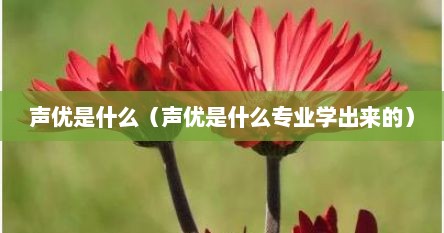 声优是什么（声优是什么专业学出来的）