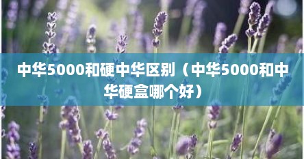 中华5000和硬中华区别（中华5000和中华硬盒哪个好）