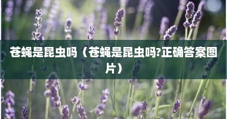 苍蝇是昆虫吗（苍蝇是昆虫吗?正确答案图片）