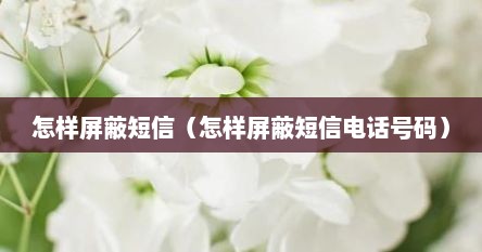 怎样屏蔽短信（怎样屏蔽短信电话号码）