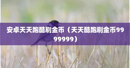 安卓天天跑酷刷金币（天天酷跑刷金币9999999）