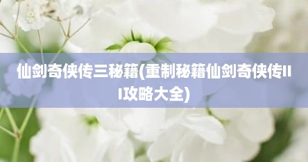 仙剑奇侠传三秘籍(重制秘籍仙剑奇侠传III攻略大全)