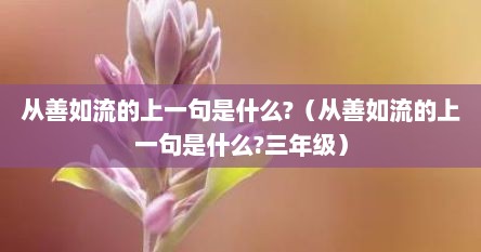 从善如流的上一句是什么?（从善如流的上一句是什么?三年级）